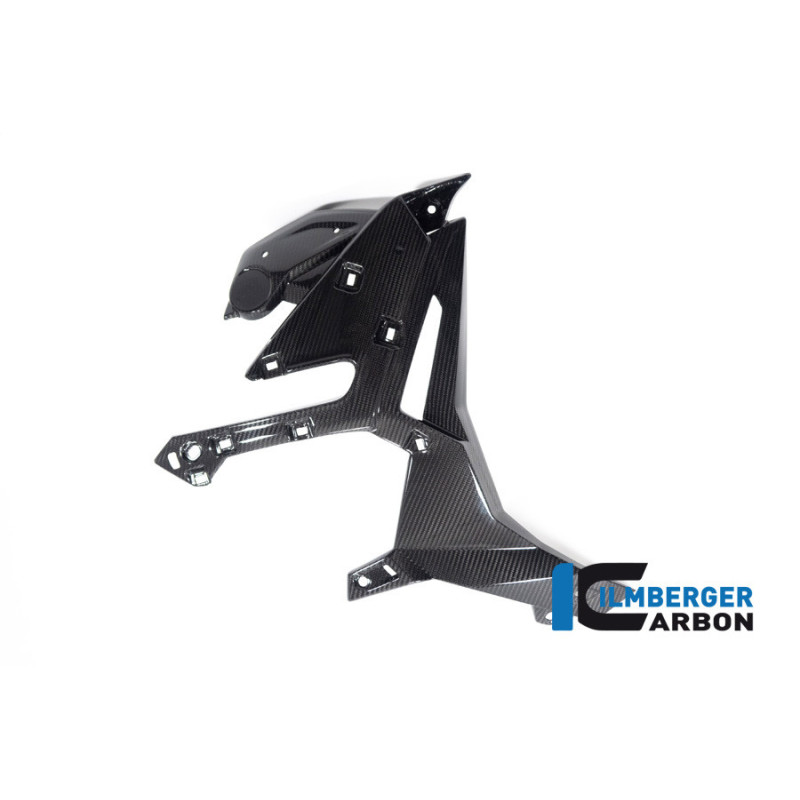 Habillage de radiateur droit carbone pour BMW S 1000 R (E5+) | Ilmberger Carbon