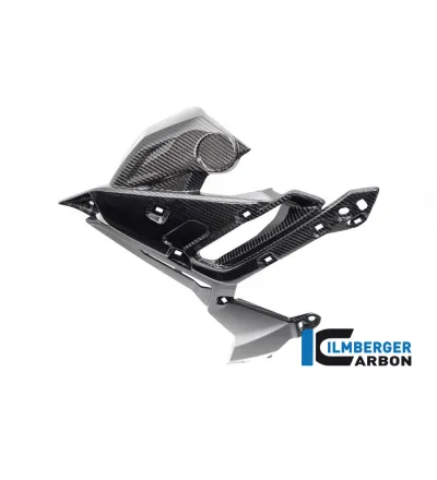 Habillage de radiateur gauche carbone pour BMW S 1000 R (E5) | Ilmberger Carbon