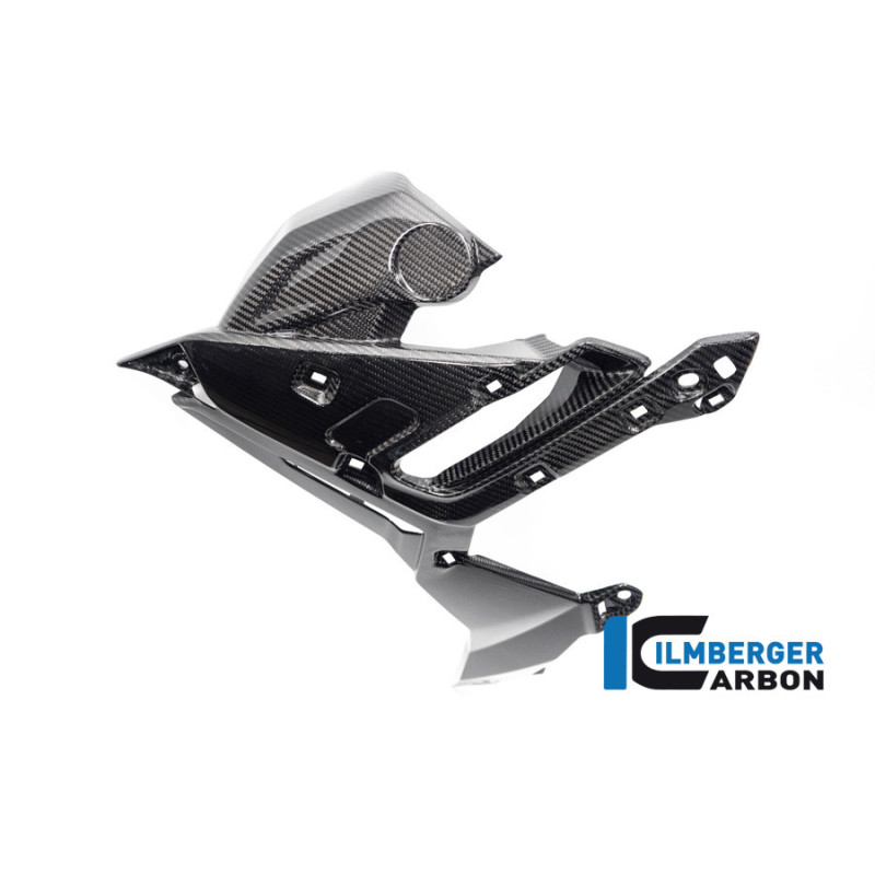 Habillage de radiateur gauche carbone pour BMW S 1000 R (E5) | Ilmberger Carbon