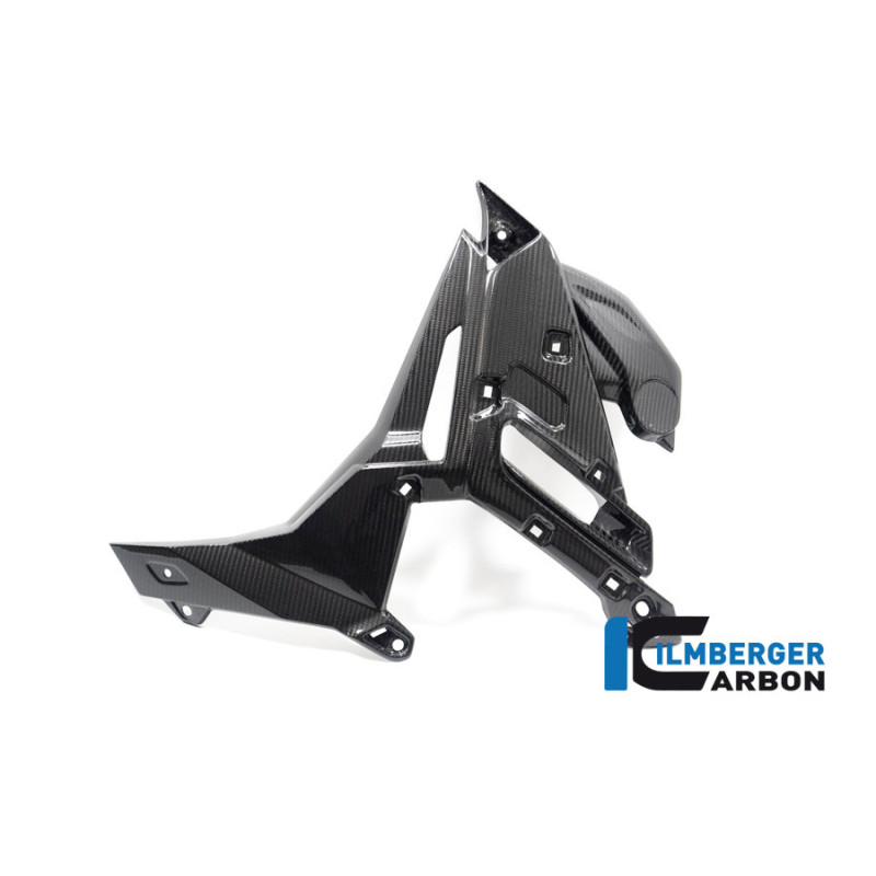 Habillage de radiateur gauche carbone pour BMW S 1000 R (E5) | Ilmberger Carbon