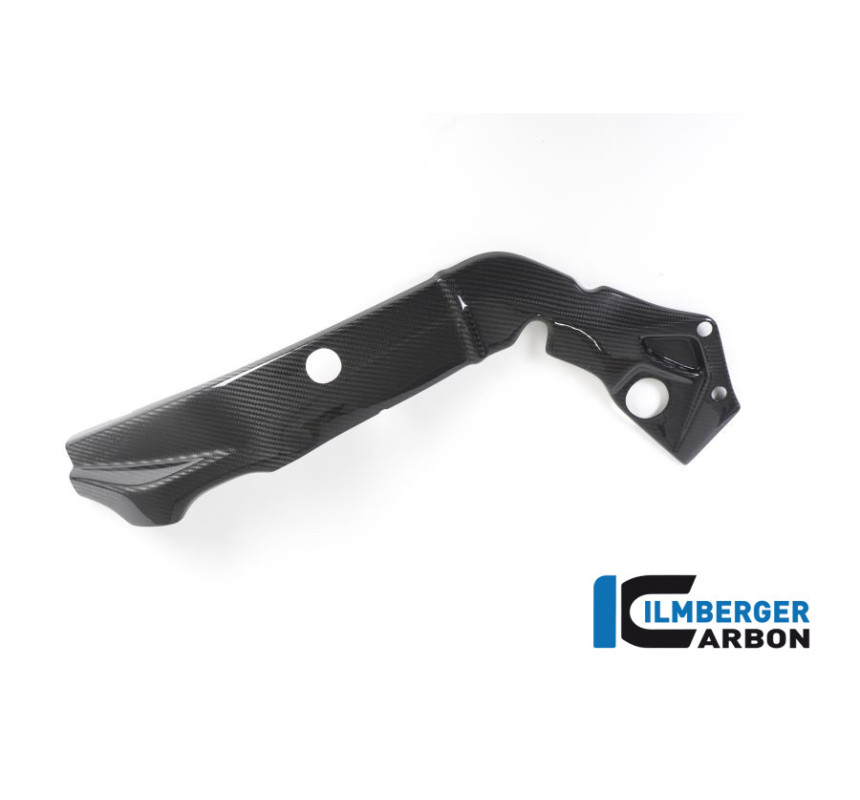 Cache de cadre gauche carbone pour BMW S 1000 R (E4) | Ilmberger Carbon