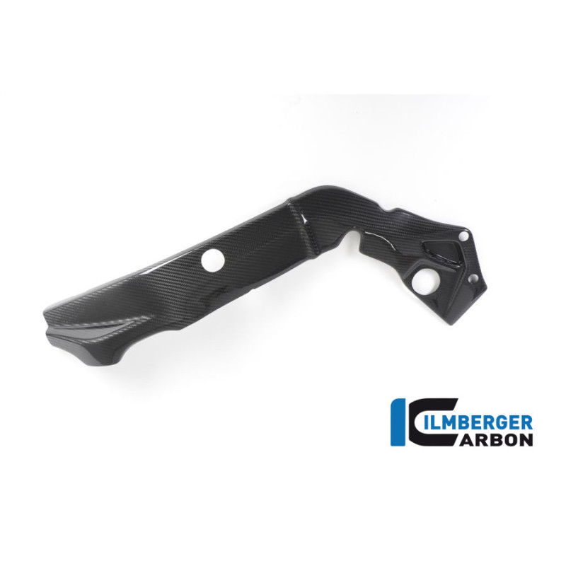 Cache de cadre gauche carbone pour BMW S 1000 R (E4) | Ilmberger Carbon