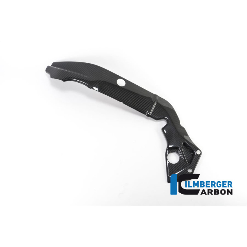 Cache de cadre gauche carbone pour BMW S 1000 R (E4) | Ilmberger Carbon