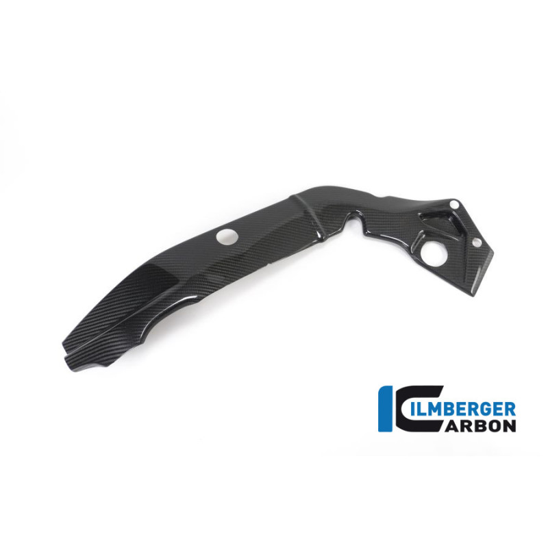 Cache de cadre gauche carbone pour BMW S 1000 R (E4) | Ilmberger Carbon