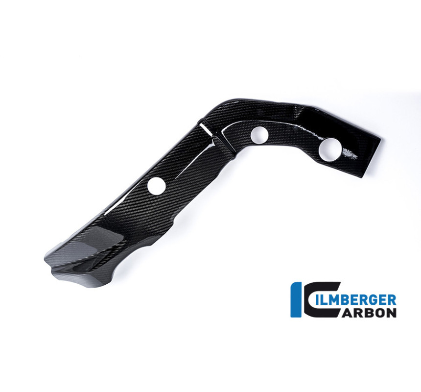 Cache de cadre gauche carbone pour BMW S 1000 R (E3) | Ilmberger Carbon