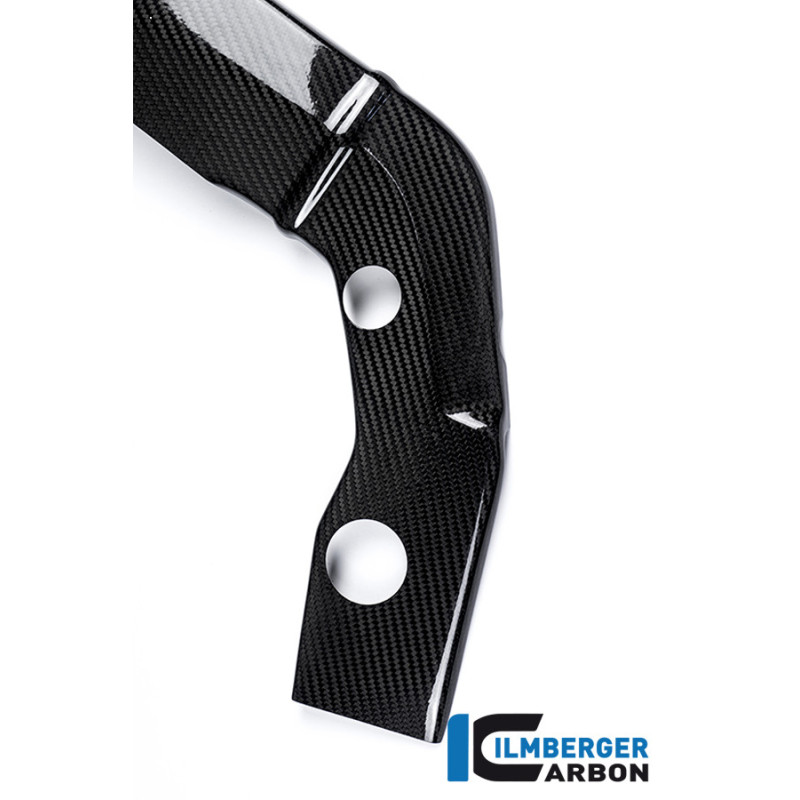 Cache de cadre gauche carbone pour S 1000 R (E3)