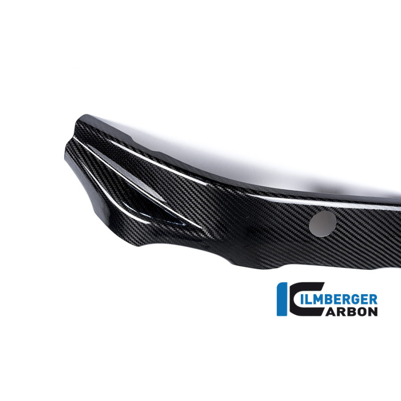 Cache de cadre gauche carbone pour BMW S 1000 R (E3) | Ilmberger Carbon