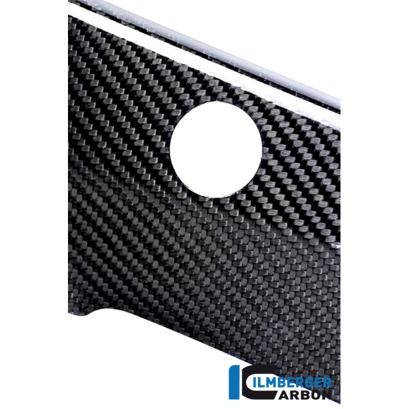 Cache de cadre gauche carbone pour BMW S 1000 R (E3) | Ilmberger Carbon