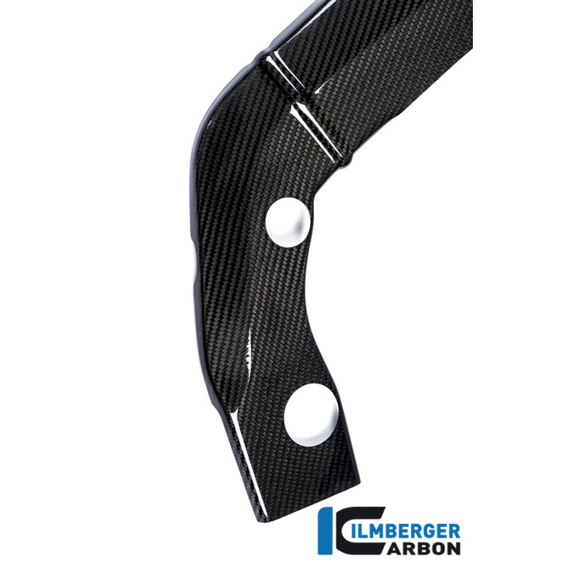 Cache de cadre droit carbone pour BMW S 1000 R (E3) | Ilmberger Carbon