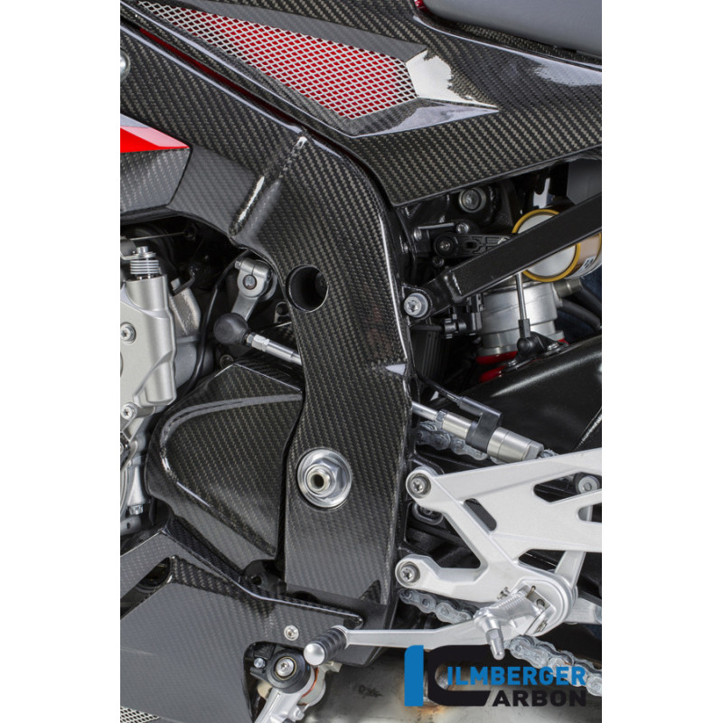 Cache de pignon carbone pour BMW S 1000 R (E4) | Ilmberger Carbon
