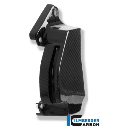 Cache de pignon carbone pour BMW S 1000 R (E4) | Ilmberger Carbon