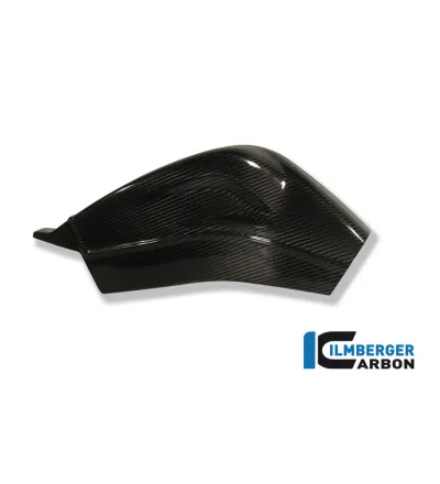 Caches de bras oscillant carbone pour BMW S 1000 R | Ilmberger Carbon