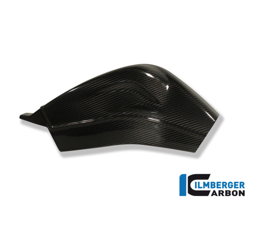 Caches de bras oscillant carbone pour BMW S 1000 R | Ilmberger Carbon