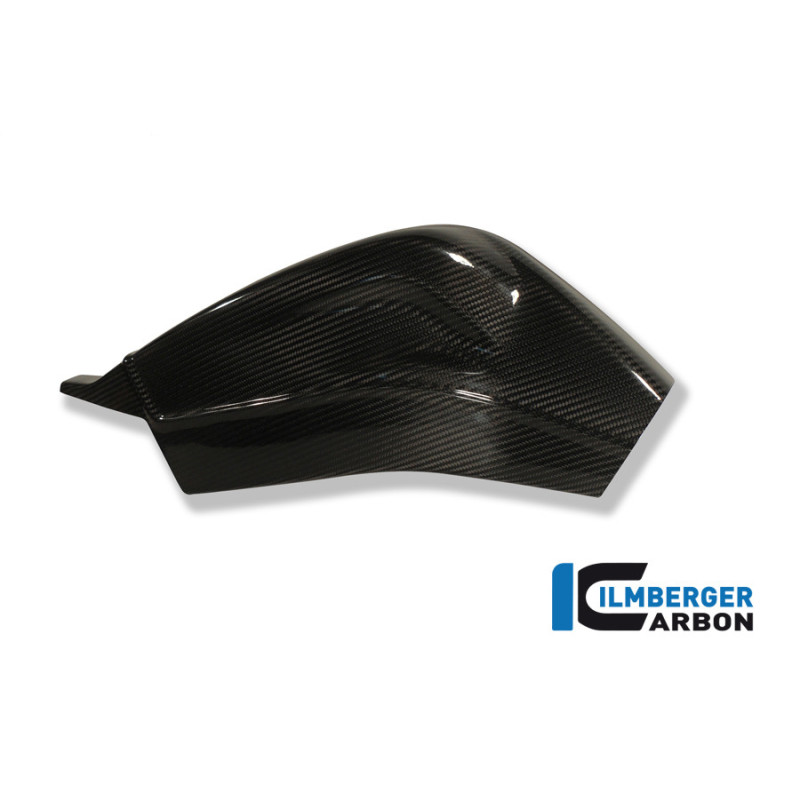 Caches de bras oscillant carbone pour BMW S 1000 R | Ilmberger Carbon