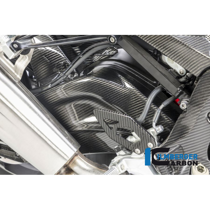 Caches de bras oscillant carbone pour BMW S 1000 R | Ilmberger Carbon