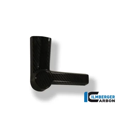 Patin de cadre gauche carbone pour BMW S 1000 R | Ilmberger Carbon