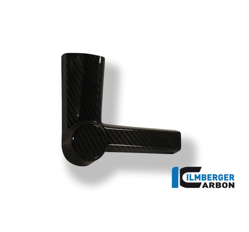 Patin de cadre gauche carbone pour BMW S 1000 R | Ilmberger Carbon