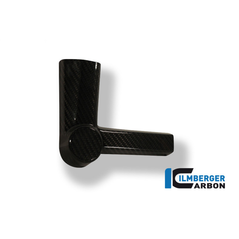 Patin de cadre gauche carbone pour BMW S 1000 R | Ilmberger Carbon