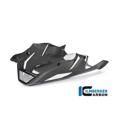Sabot moteur carbone pour BMW S 1000 R (E4) | Ilmberger Carbon