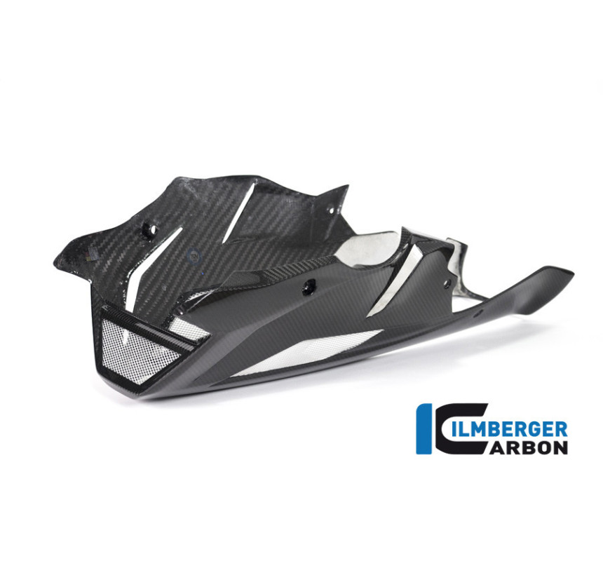 Sabot moteur carbone pour BMW S 1000 R (E4) | Ilmberger Carbon