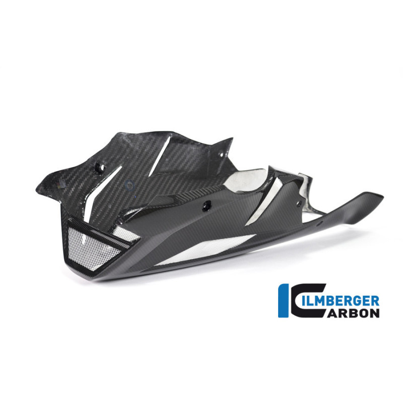 Sabot moteur carbone pour BMW S 1000 R (E4) | Ilmberger Carbon