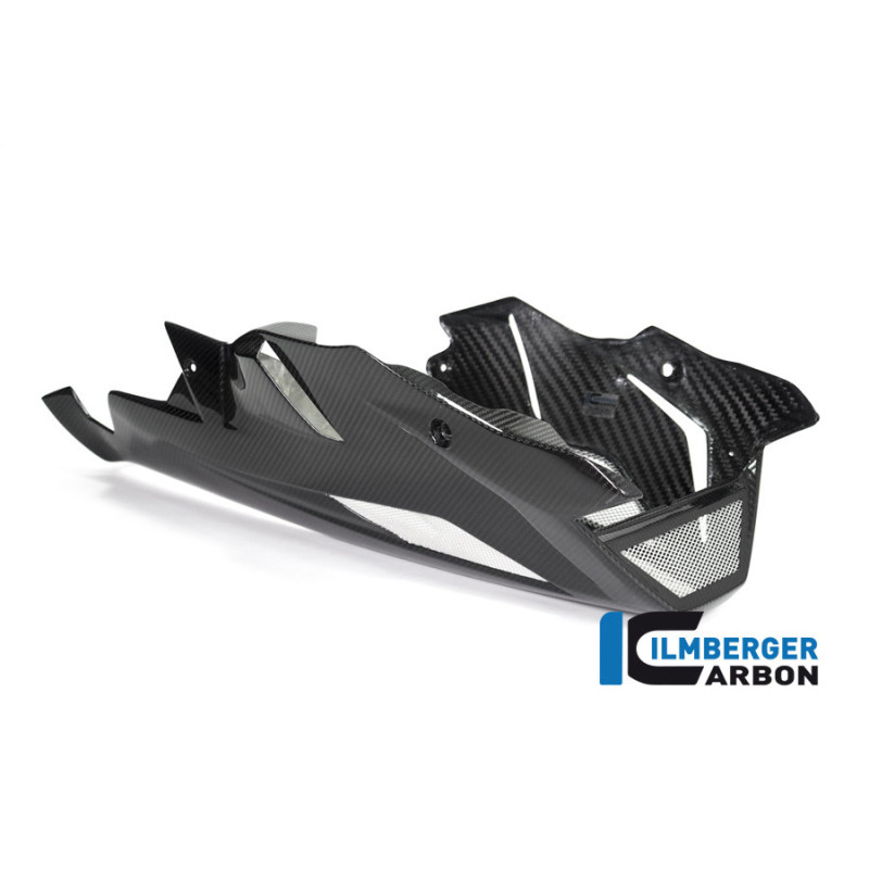 Sabot moteur carbone pour BMW S 1000 R (E4) | Ilmberger Carbon
