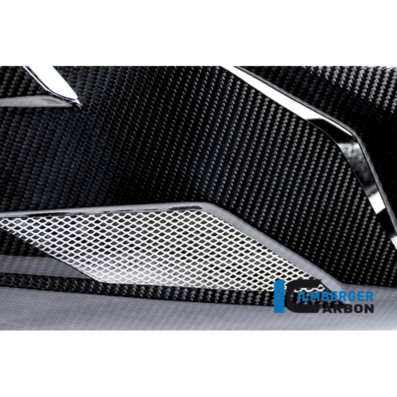 Sabot moteur carbone pour BMW S 1000 R (E3) | Ilmberger Carbon