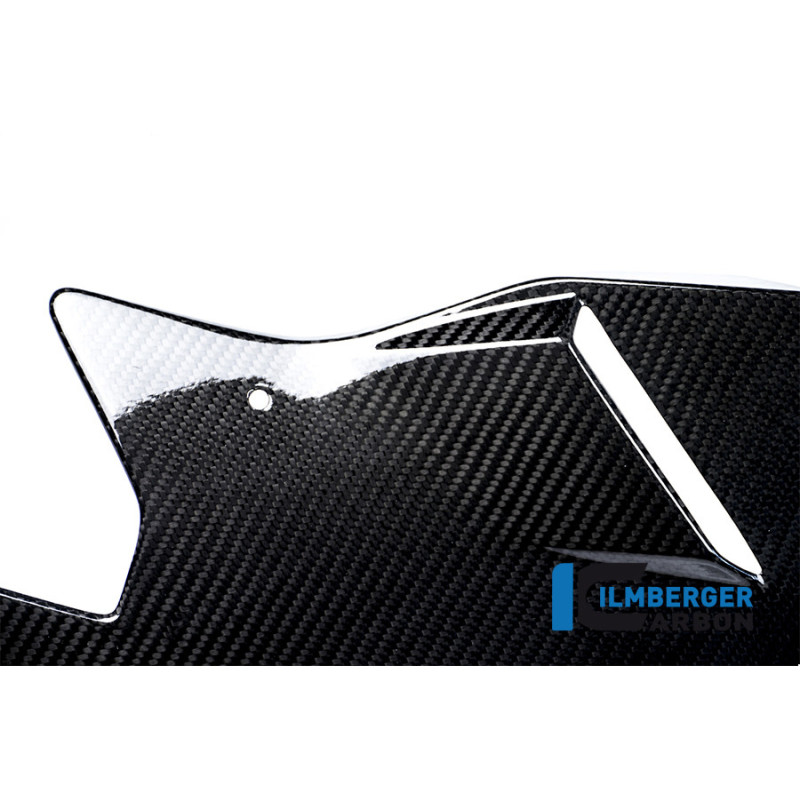 Sabot moteur carbone pour BMW S 1000 R (E3) | Ilmberger Carbon