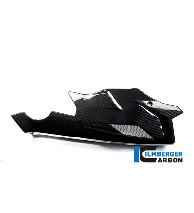Sabot moteur carbone pour BMW S 1000 R (E3) | Ilmberger Carbon