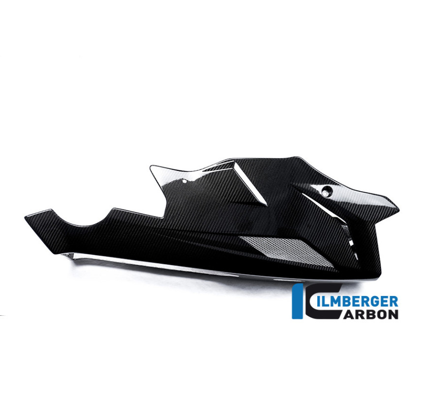 Sabot moteur carbone pour BMW S 1000 R (E3) | Ilmberger Carbon