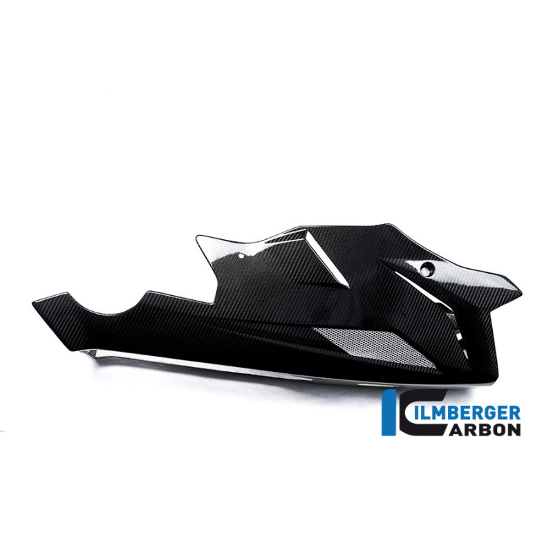 Sabot moteur carbone pour BMW S 1000 R (E3) | Ilmberger Carbon