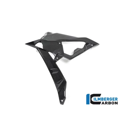 Habillage de radiateur gauche carbone pour BMW S 1000 R (E4) | Ilmberger Carbon