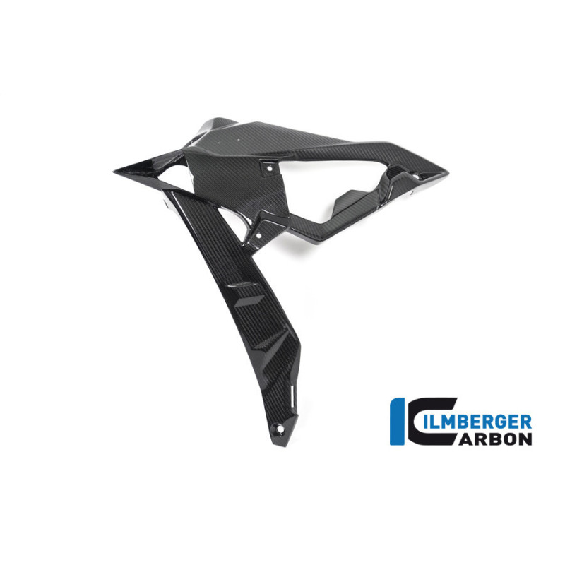 Habillage de radiateur gauche carbone pour BMW S 1000 R (E4) | Ilmberger Carbon