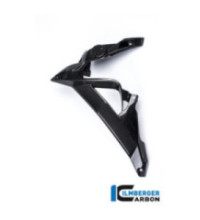Habillage de radiateur gauche carbone pour BMW S 1000 R (E3) | Ilmberger Carbon