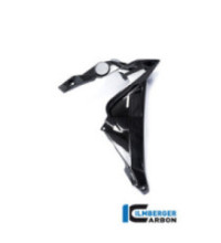 Habillage de radiateur droit carbone pour BMW S 1000 R (E3) | Ilmberger Carbon