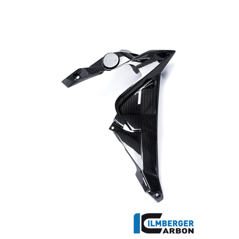 Habillage de radiateur droit carbone pour BMW S 1000 R (E3) | Ilmberger Carbon