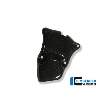 Cache de rotor d'allumage carbone pour BMW S 1000 R (E4) | Ilmberger Carbon