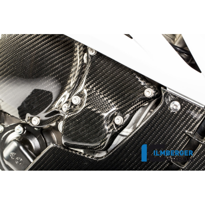 Cache de rotor d'allumage carbone pour BMW S 1000 R (E4) | Ilmberger Carbon