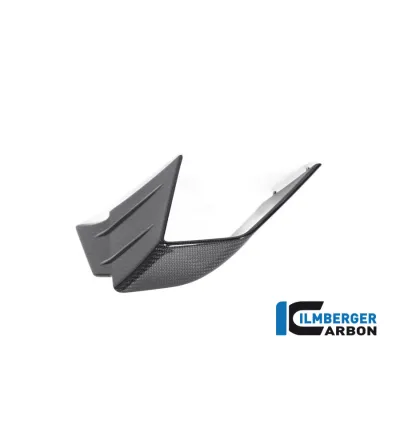 Aileron gauche circuit carbone pour BMW M 1000 RR | Ilmberger Carbon
