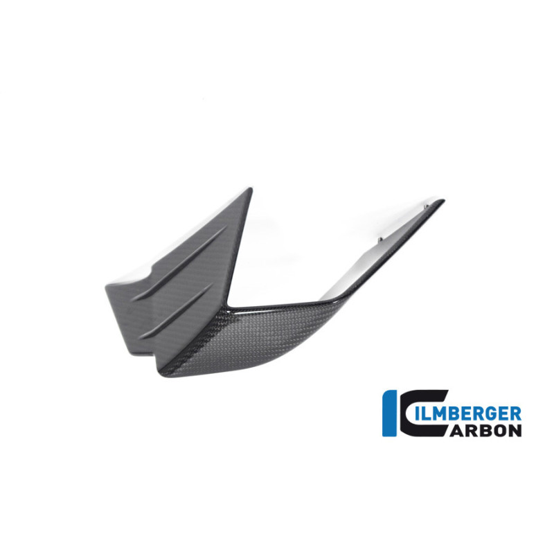 Aileron gauche circuit carbone pour BMW M 1000 RR | Ilmberger Carbon