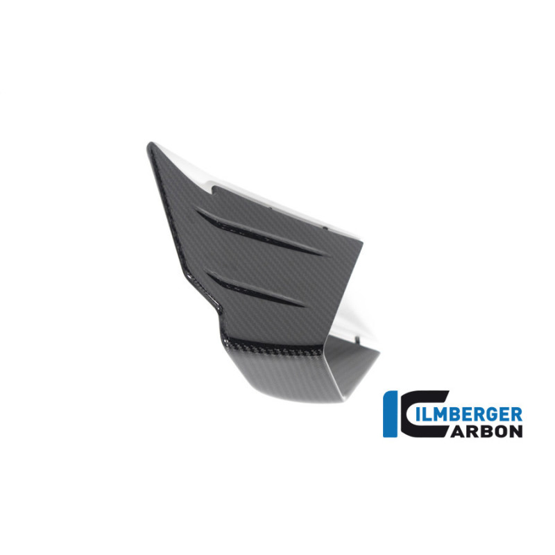 Aileron gauche circuit carbone pour BMW M 1000 RR | Ilmberger Carbon