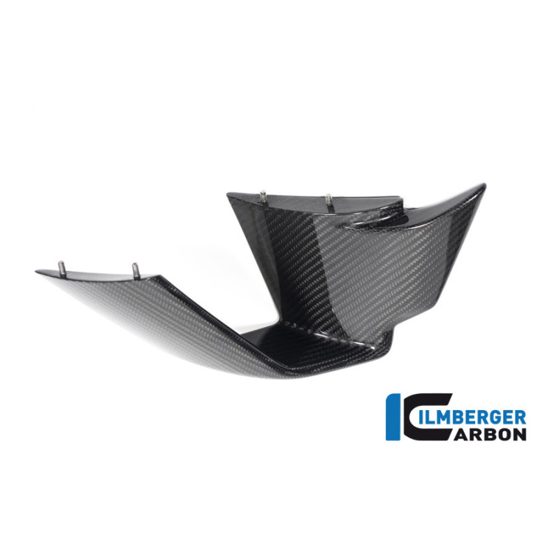 Aileron gauche circuit carbone pour BMW M 1000 RR | Ilmberger Carbon