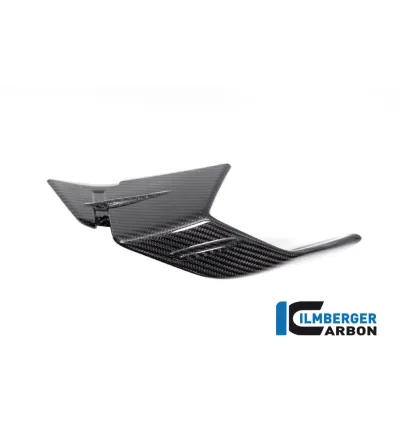 Aileron gauche carbone pour BMW S 1000 RR | Ilmberger Carbon
