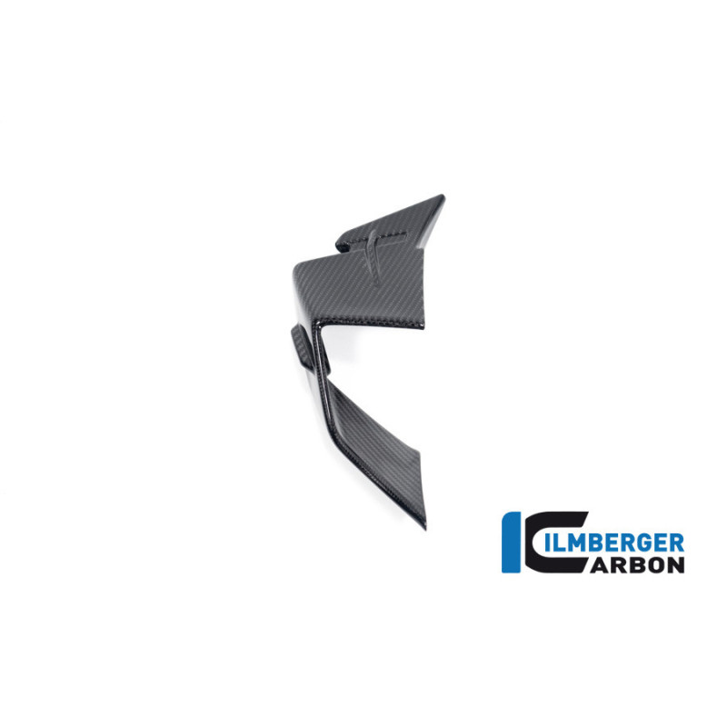 Aileron gauche carbone pour BMW S 1000 RR | Ilmberger Carbon