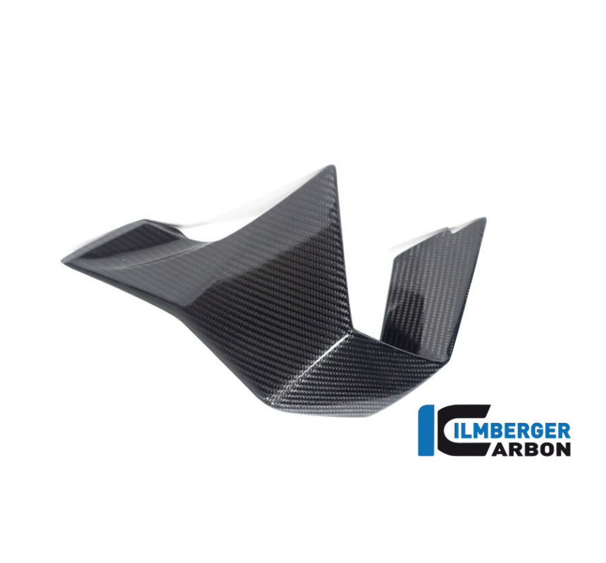 Aileron gauche carbone pour BMW M 1000 RR | Ilmberger Carbon