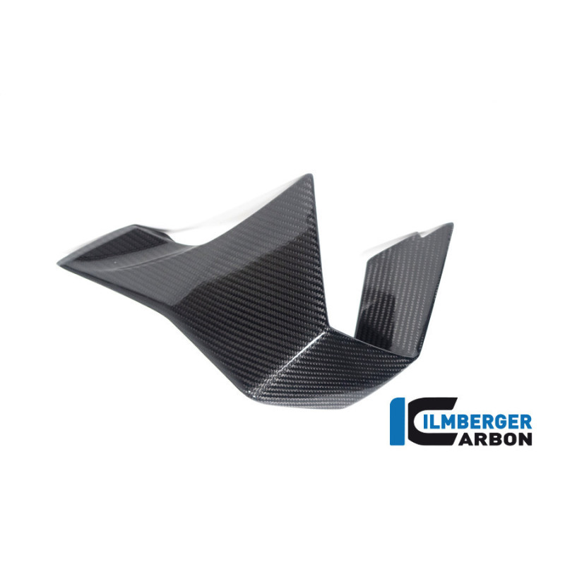 Aileron gauche carbone pour BMW M 1000 RR | Ilmberger Carbon