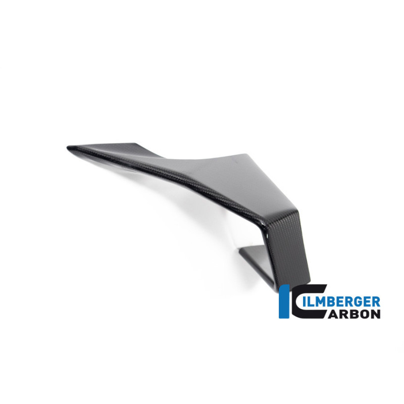 Aileron gauche carbone pour BMW M 1000 RR | Ilmberger Carbon