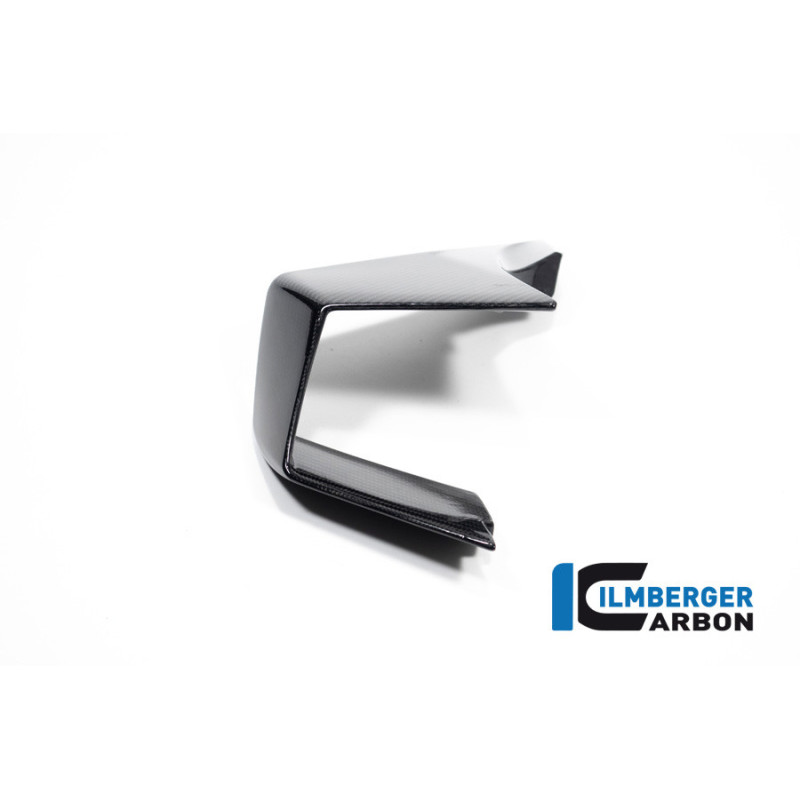 Aileron gauche carbone pour BMW M 1000 RR | Ilmberger Carbon