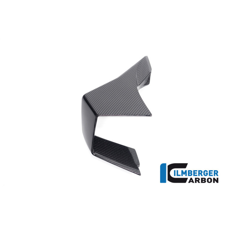 Aileron gauche carbone pour BMW M 1000 RR | Ilmberger Carbon