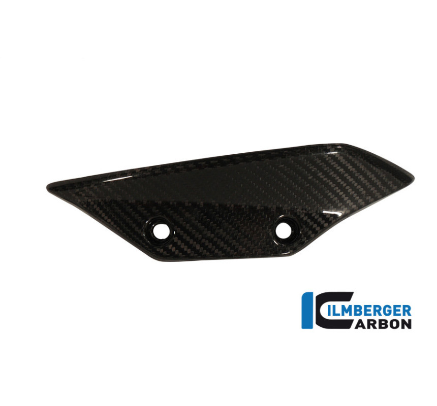 Aileron gauche carbone pour BMW S 1000 RR | Ilmberger Carbon
